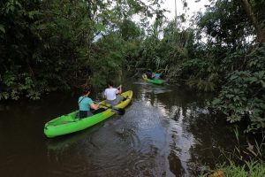 manu jungle expeditions peru amazon trips
