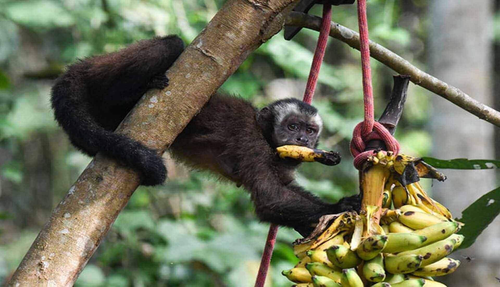 Tour de 4 Días por la Selva Amazónica | Aventura en la Jungla