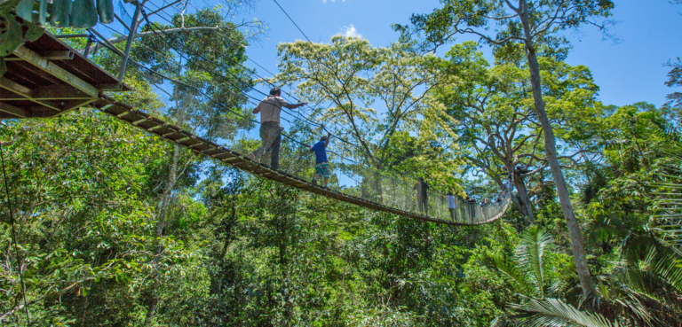 canopy tower tambopata lodge sandoval lake