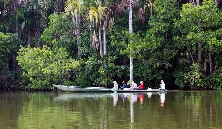 tambopata lodge lago sandoval