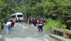 gallito rocas manu jungle expeditions trips cusco amazon peru 14