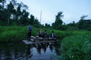manu jungle expeditions